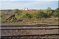 Railway sidings, Parkeston