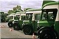 Line-up of Bristol buses