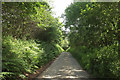 Lane to Stoodleigh Cross