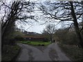 The road divides at Stoatley Hollow