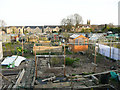 Waterloo Road Allotments, Brighouse