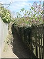 Public footpath descending to Finkin Lane