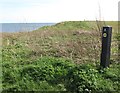 England Coast Path Signage, Whitley Bay