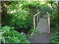 TQ5685 : Footbridges at Cranham March Nature Reserve by Sean Davis
