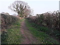 Footpath off Grooms Lane, Kemberton