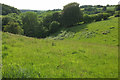 Valley above Orswell Wood