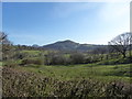 SO4390 : View to the Stretton Hills in spring by Jeremy Bolwell