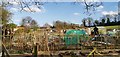 Flying the flag on Totley allotments