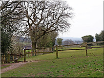 SO9095 : Pasture and footpath on Colton Hills near Wolverhampton by Roger  Kidd