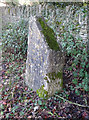 Old Boundary Marker