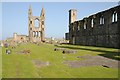 NO5116 : St Andrews Cathedral by Philip Halling
