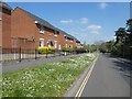 Houses in Digby Drive, Kings Heath, Exeter