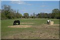 Horses beside Mitchel