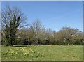 Open space, Wildish Road, Faversham