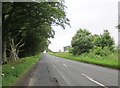 Alongside  Woodheads  Strip  on  the  A6105  toward  Greenlaw