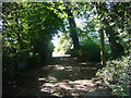 Public Footpath to Walsham Lock