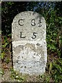 Old Milestone by the A390 in Higher Keason