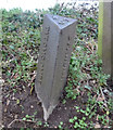 Old Boundary Marker