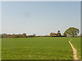 Looking over field to Ryefield Farm