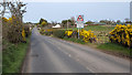 The Killaughey Road, Ballyvester