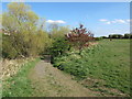 Footpath, Brierdene, Whitley Bay