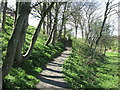 Footpath, Brierdene, Whitley Bay