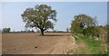 Farmland on the edge of Glenfield