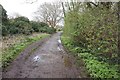 Thames Path towards Laleham