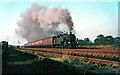 London express heading south from Hooton, 1966