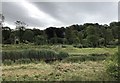 Cuckmere River