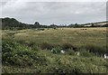 The Cuckmere River