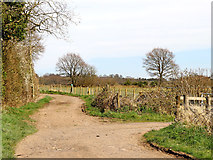 SO9095 : Farm roads near Colton Hills in Staffordshire by Roger  Kidd
