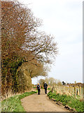 SO9095 : Farm road near Colton Hills in Staffordshire by Roger  Kidd