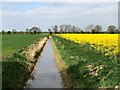 TF3701 : Drain west of Goosetree Farm on the A605 by Richard Humphrey