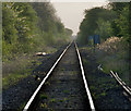 Railway at Barton