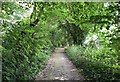 Bridleway from Alfriston