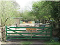 Stable near the Beehive Inn, Whitley Bay