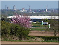 View towards the Leicester city skyline