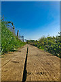 SJ7250 : Boardwalk Footpath by Scott Robinson