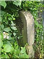 Old Boundary Marker