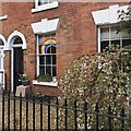 Rainbow in a window, Broad Street, Warwick