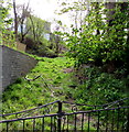 Track above Brynglas Road, Newport