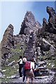 V2460 : On Great Skellig - Ascending steps towards Monastery by Colin Park