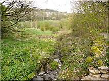 SE1125 : Dixon Clough downstream of Dark Lane, Southowram by Humphrey Bolton