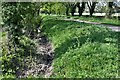 Redenhall: Drainage ditch