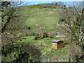 SY9677 : Hillside above hamlet in Hill Bottom by Robin Webster