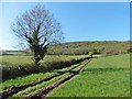 Farm track at Higher Woodcombe