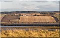 NH6366 : Cromarty Firth Landscape by valenta