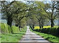 Country Lane to Sowerby Grange [2]