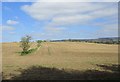 Old field boundary, Craignethan